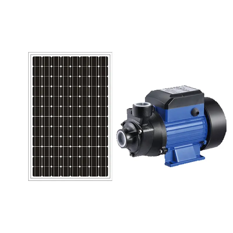 Solar Irrigation Pump 12V - 12V/24V対応、ブラシモーター式ソーラー式プール用ポンプ、QBシリーズ、太陽光発電式灌漑ポンプ、直接販売。