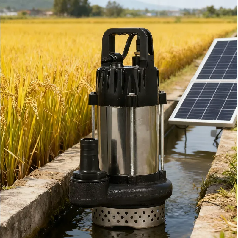 Solar Water Pump 48V Submersible - 48V 500W ソーラーウォーターポンプ 1インチ ブラシレスDCモーター ステンレス製