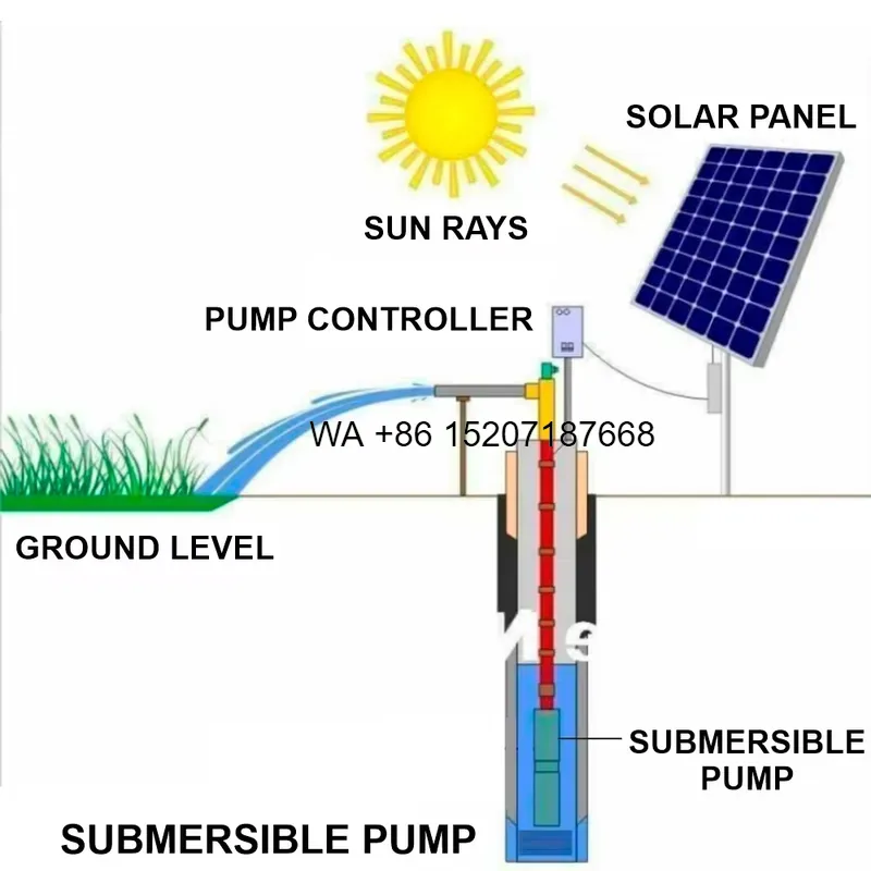 Wmwmnu製、太陽光発電対応、水中式高圧ステンレス製水中ポ - Solar Water Pump 1Hp Dc のレビューと価格